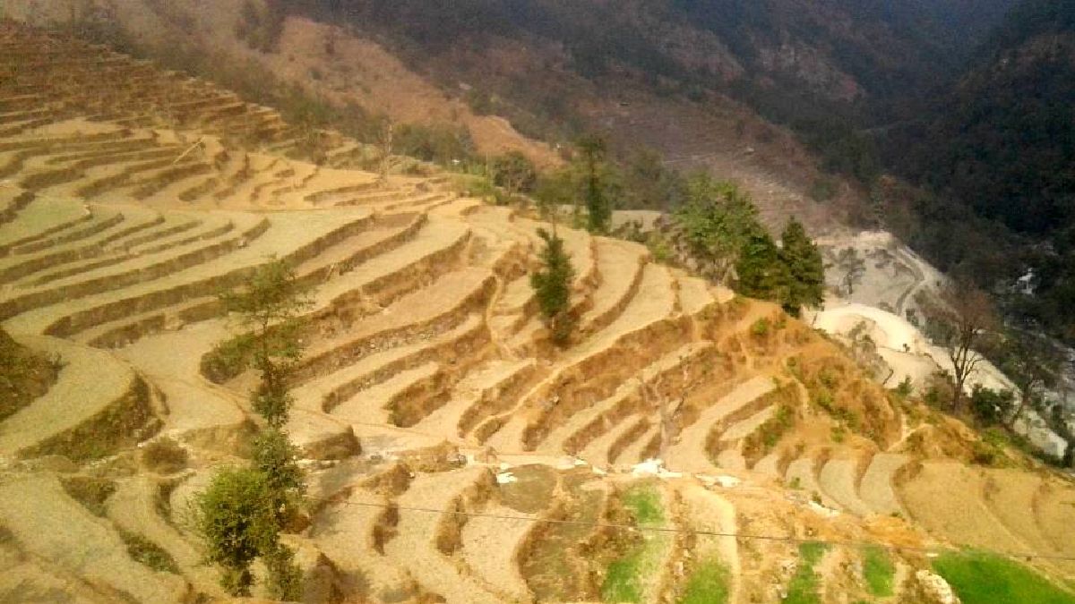 महाकाली करिडोरले सिँचाइ कुलो भत्काउँदा खेत बाँझै